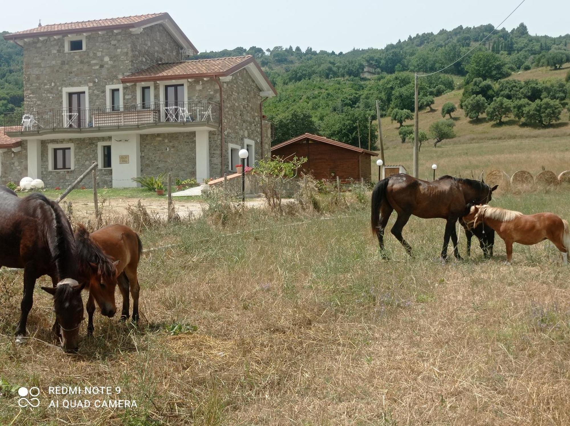 Lux Vera B & B Agropoli Kültér fotó