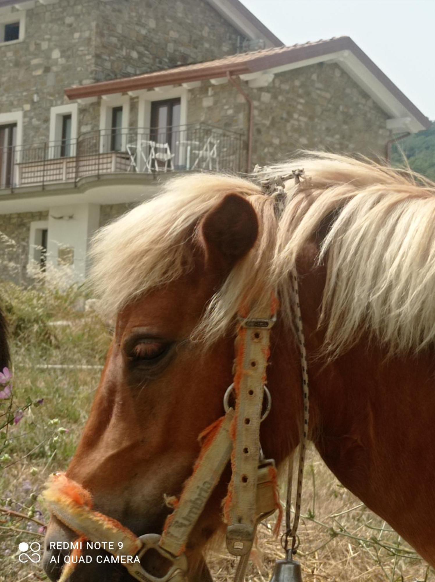 Lux Vera B & B Agropoli Kültér fotó
